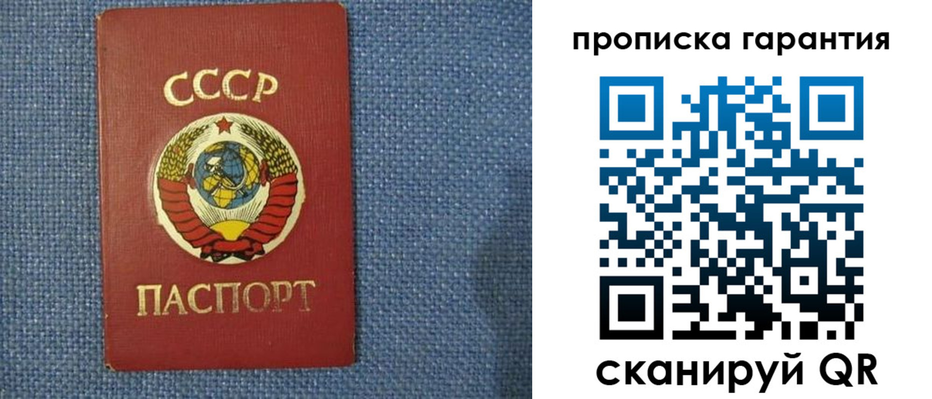 прописка 2025 в Александрове